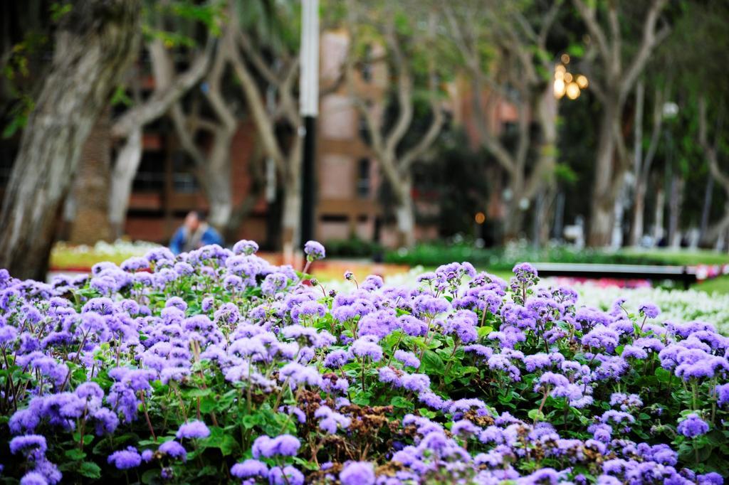 Roosevelt Hotel&Suites Lima Exteriér fotografie